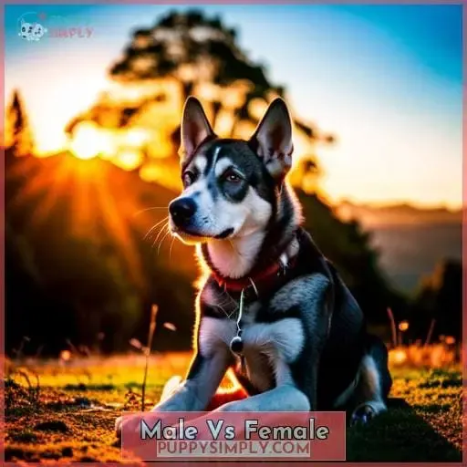 Male Vs Female