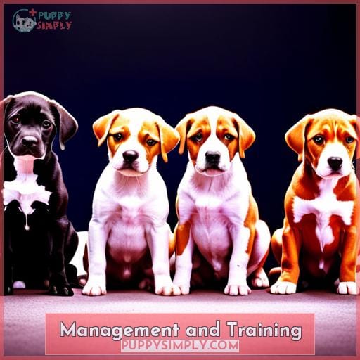 Management and Training