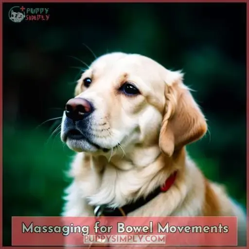 Massaging for Bowel Movements