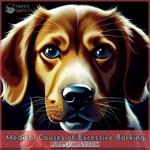 Medical Causes of Excessive Barking