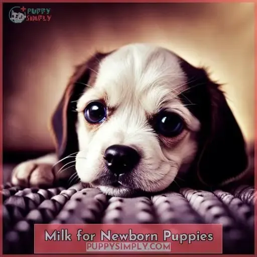 Milk for Newborn Puppies