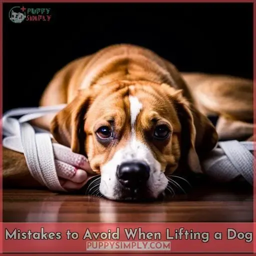 Mistakes to Avoid When Lifting a Dog