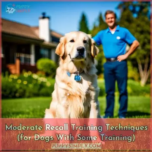 Moderate Recall Training Techniques (for Dogs With Some Training)