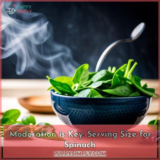 Moderation is Key: Serving Size for Spinach