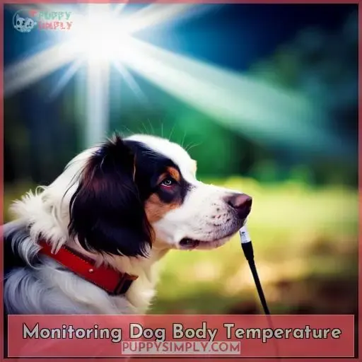 Monitoring Dog Body Temperature