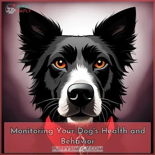 Monitoring Your Dog