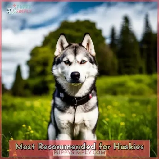 Most Recommended for Huskies