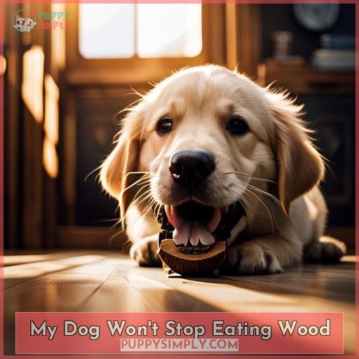 Stop Your Dog's Wood Chewing Habits: Tips and Tricks