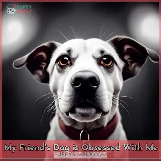 Why Is My Dog Obsessed With Me? 7 Reasons & Solutions