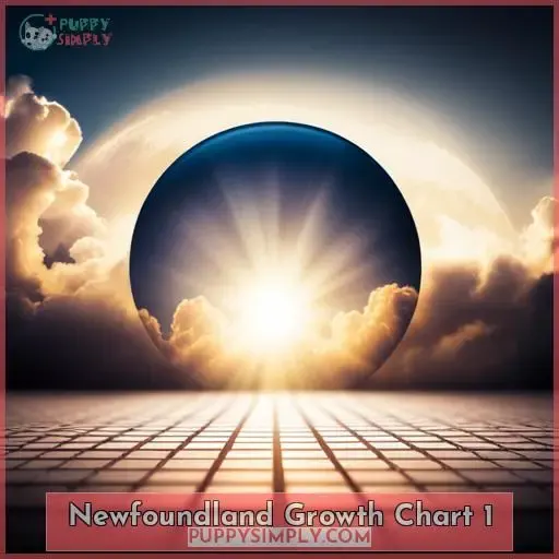 Newfoundland Growth Chart Size & Weight Guide 2023