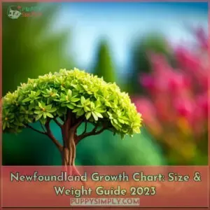 newfoundland growth chart