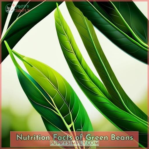 Nutrition Facts of Green Beans Nutrition Facts of Green Beans