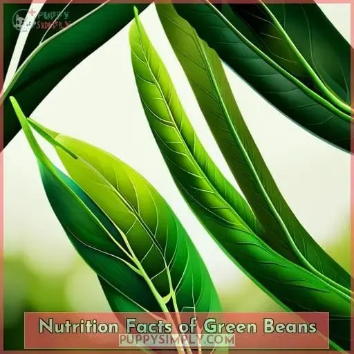 Nutrition Facts of Green Beans