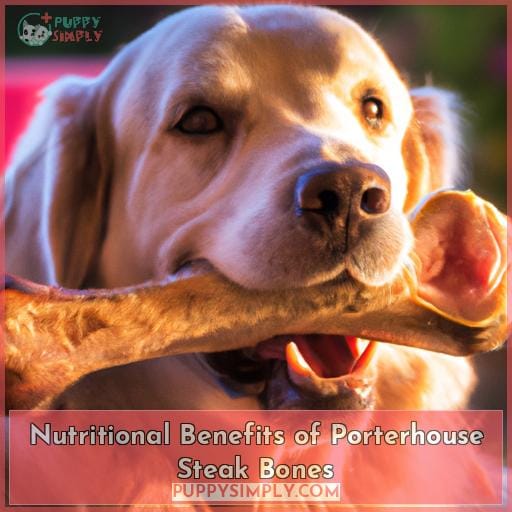 Nutritional Benefits of Porterhouse Steak Bones