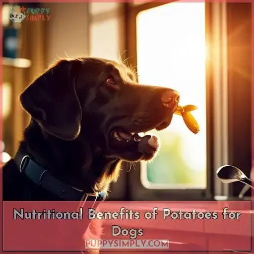 Nutritional Benefits of Potatoes for Dogs