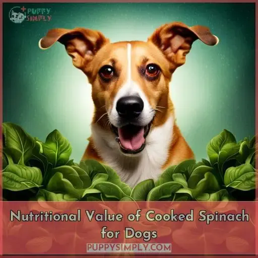 Nutritional Value of Cooked Spinach for Dogs