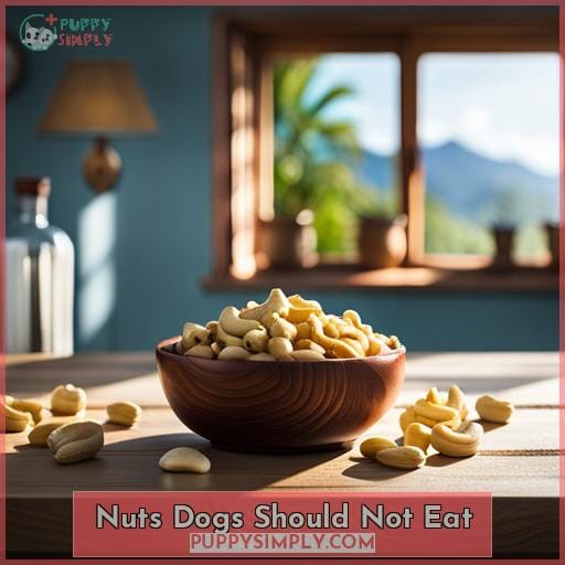 Nuts Dogs Should Not Eat