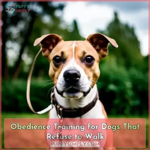 Obedience Training for Dogs That Refuse to Walk
