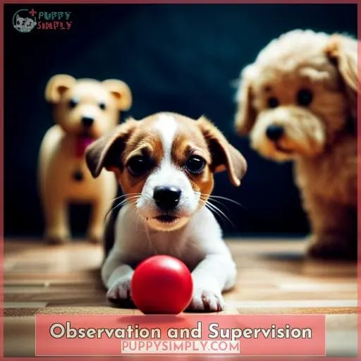 Observation and Supervision