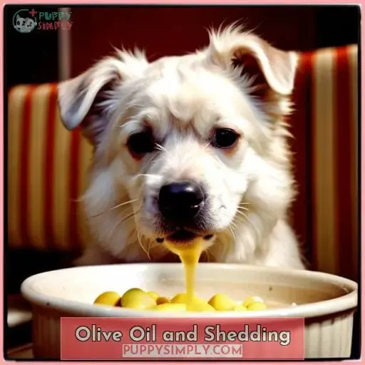Olive Oil and Shedding