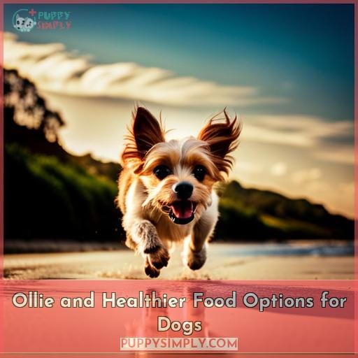 Ollie and Healthier Food Options for Dogs