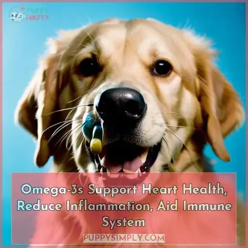 Omega-3s Support Heart Health, Reduce Inflammation, Aid Immune System
