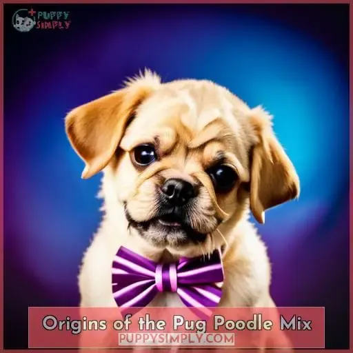 Origins of the Pug Poodle Mix