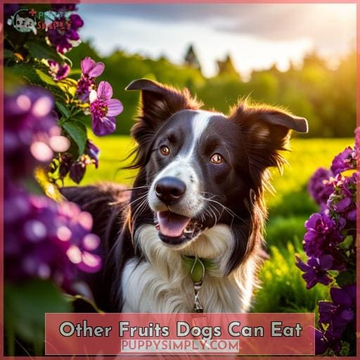 Other Fruits Dogs Can Eat
