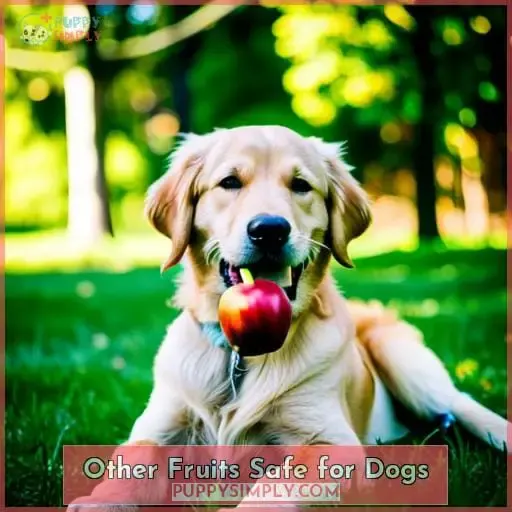 Other Fruits Safe for Dogs