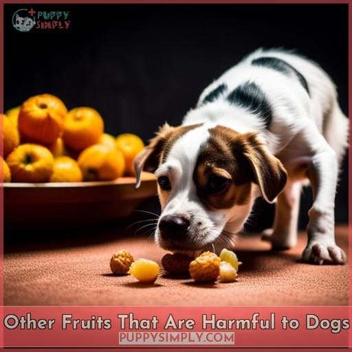 Other Fruits That Are Harmful to Dogs