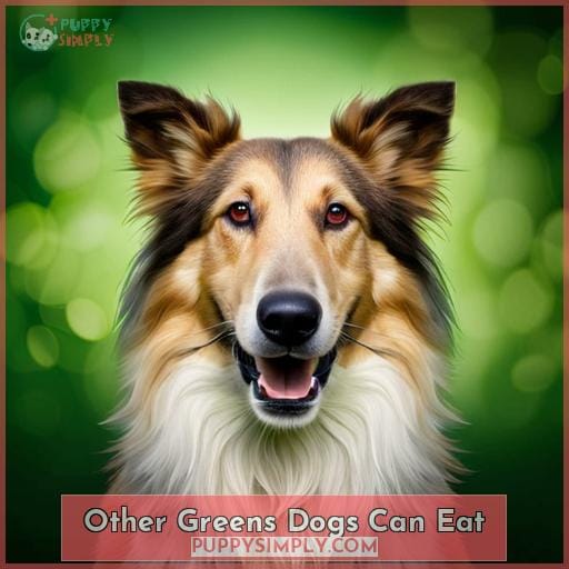 Other Greens Dogs Can Eat