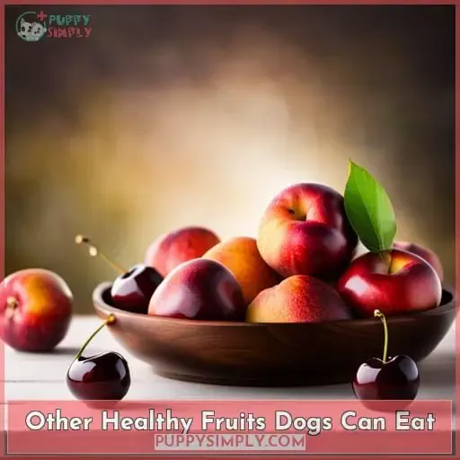 Other Healthy Fruits Dogs Can Eat