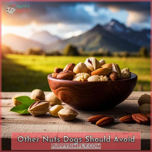 Other Nuts Dogs Should Avoid
