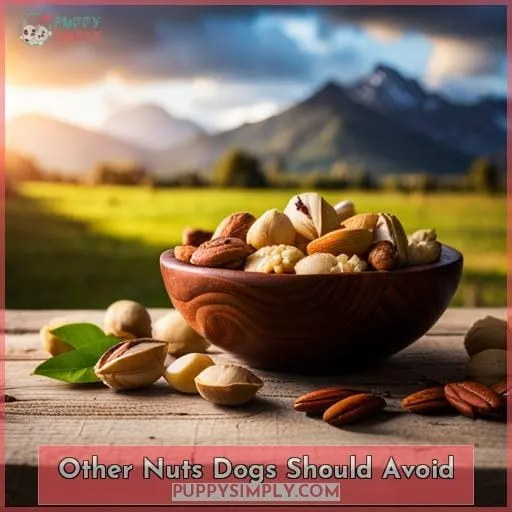 Other Nuts Dogs Should Avoid