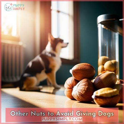 Other Nuts to Avoid Giving Dogs