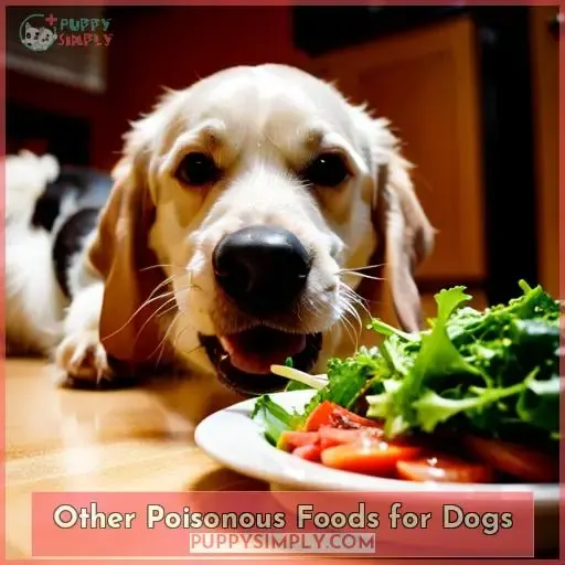 Other Poisonous Foods for Dogs