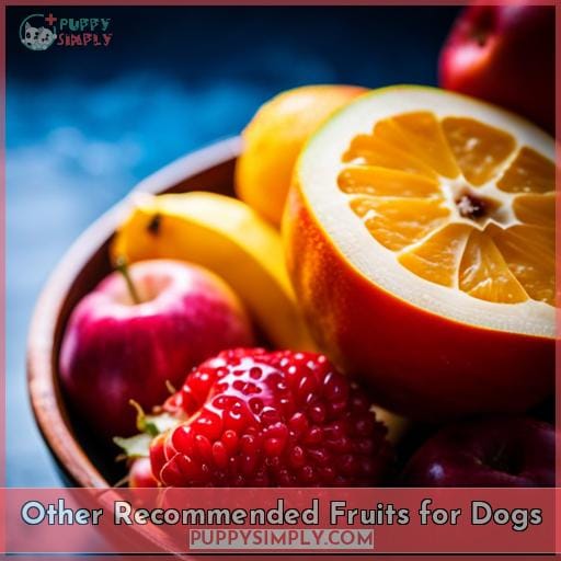 Other Recommended Fruits for Dogs