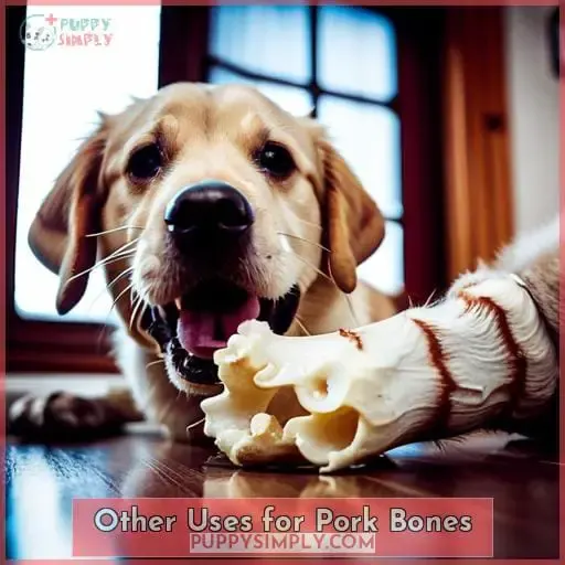 Other Uses for Pork Bones