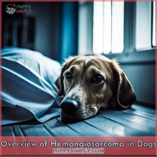 Overview of Hemangiosarcoma in Dogs