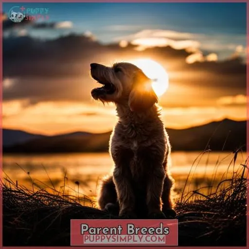 Parent Breeds