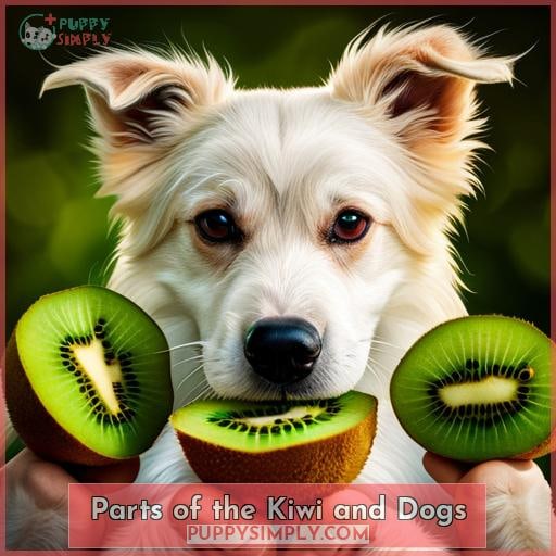 Parts of the Kiwi and Dogs