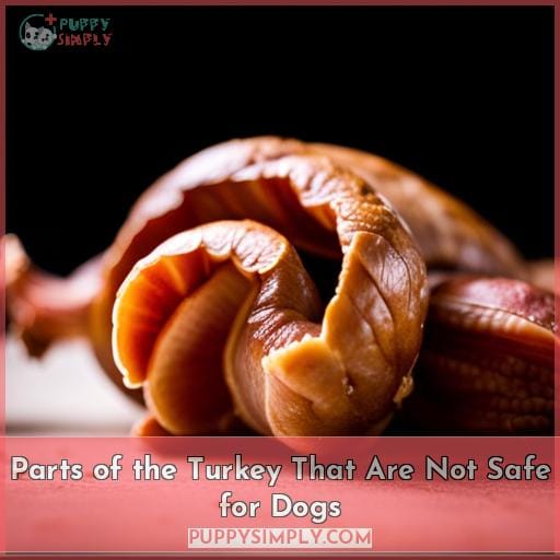 Parts of the Turkey That Are Not Safe for Dogs