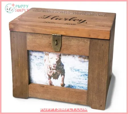 Personalized Pet Memory Box Urn