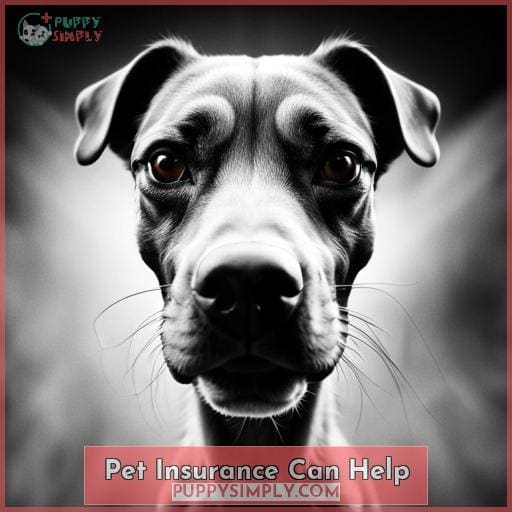 Pet Insurance Can Help
