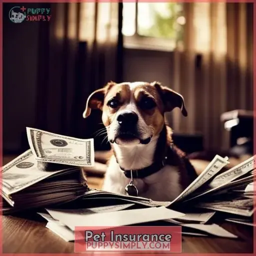 Pet Insurance