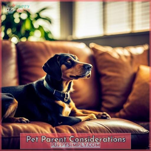 Pet Parent Considerations Pet Parent Considerations