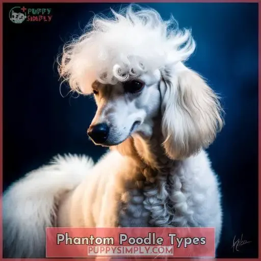 Phantom Poodle Types
