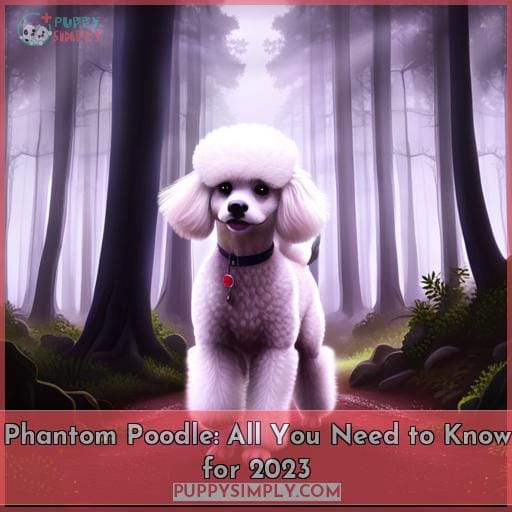 Phantom Poodle All You Need To Know For 2023