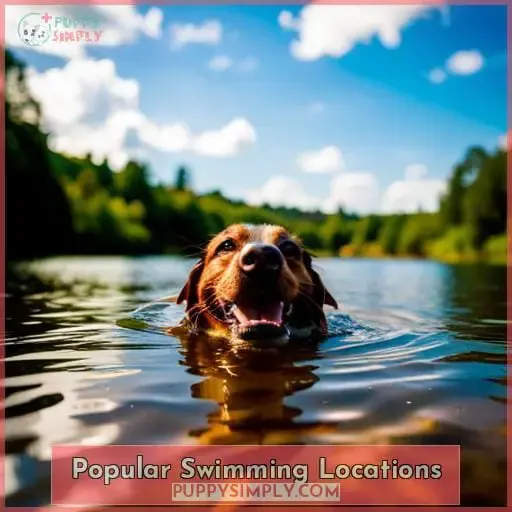 Popular Swimming Locations