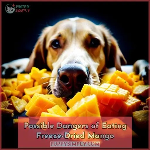 Possible Dangers of Eating Freeze-Dried Mango